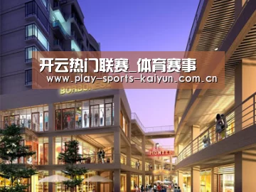 案例展示一(图1)