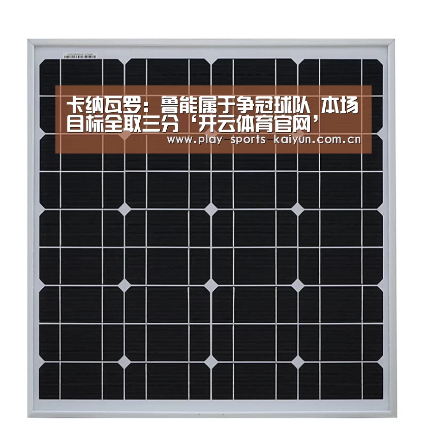 开云体育网站