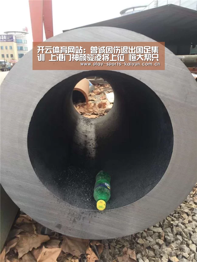 开云体育网站:曾诚因伤退出国足集训 上港门神颜骏凌将上位 恒大帮只剩下3人(图2) 开云体育网站