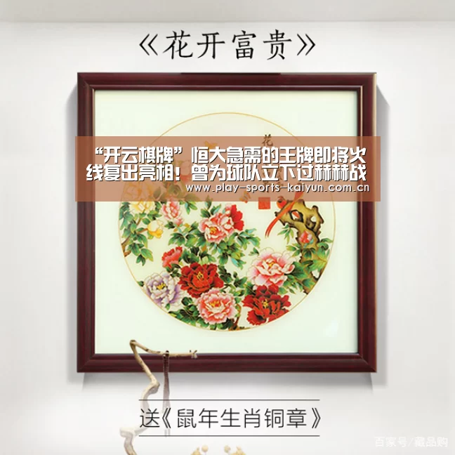 开云体育官网